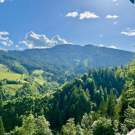 Апартаменты Alpendomizil 2 - Muehlbachblick